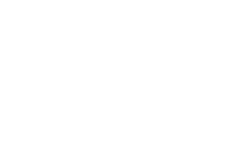 Академия спорта